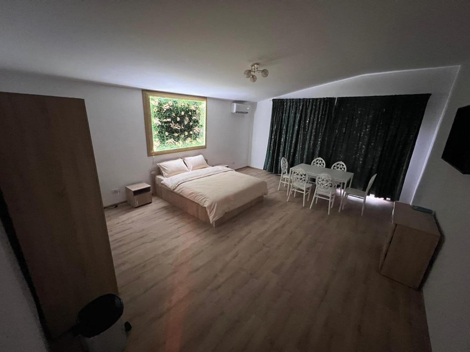 Casa Privata Airport Bucharest Therme Bucharest 巴洛泰什蒂 外观 照片