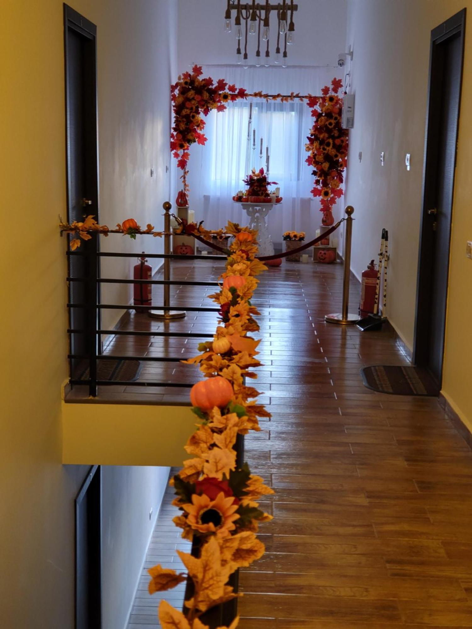 Casa Privata Airport Bucharest Therme Bucharest 巴洛泰什蒂 外观 照片