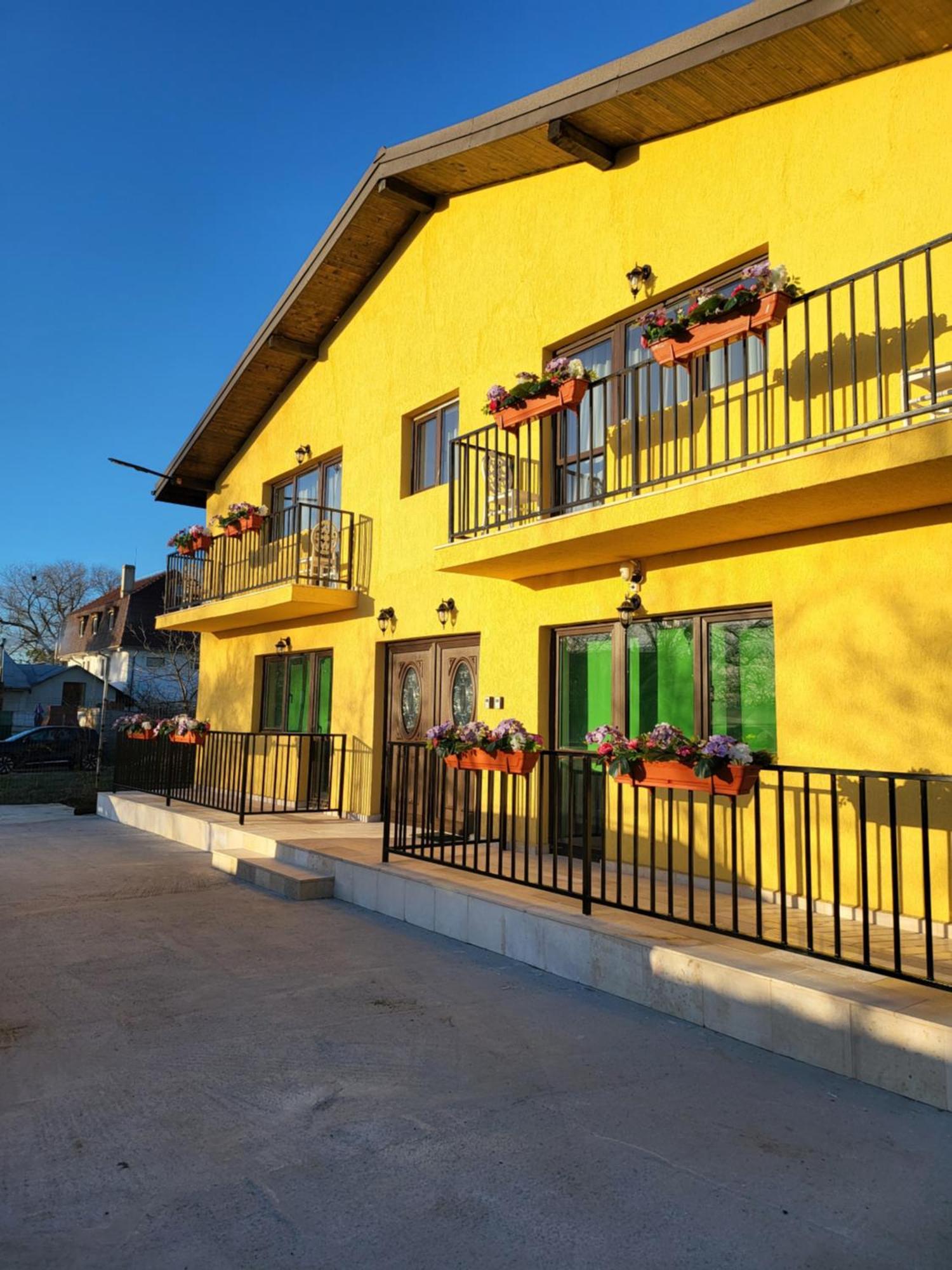 Casa Privata Airport Bucharest Therme Bucharest 巴洛泰什蒂 外观 照片